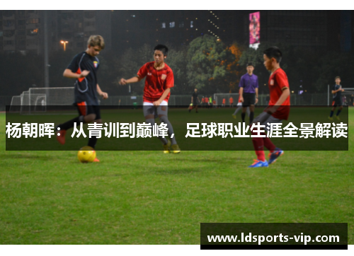 杨朝晖：从青训到巅峰，足球职业生涯全景解读
