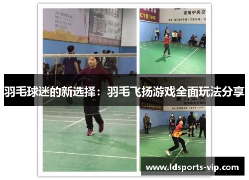 羽毛球迷的新选择：羽毛飞扬游戏全面玩法分享